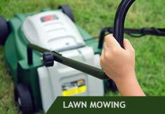 Improve the health of your lawn by using Premierlawns.com.au, the reliable option for Perth lawn decompaction. Our knowledgeable staff improves grass vitality and soil aeration. Premierlawns.com.au can help you revamp your outdoor area.                         
https://premierlawns.com.au/our-services/