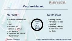 Gain valuable insights into the evolving vaccine market, examining trends, industry growth, and top players. Explore the comprehensive vaccine market report, illuminating the dynamic landscape of the vaccine industry.