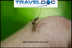 Yellow Fever is a serious viral infection that’s usually spread by a type of daytime biting mosquito known as the Aedes aegypti. It can be prevented with a vaccination.

Know more: https://www.travel-doc.com/service/yellowfever/