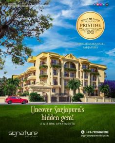 Bangalore, have you heard?
A secret oasis of breathtaking Spanish architecture and blooming beauty coming to Sarjapura.
Explore Signature Pristine's spacious havens, designed for every chapter of your life: 2 & 3 BHK masterpieces adorned with modern amenities and Spanish charm.
Visit our website or contact us today to experience Signature Pristine firsthand:

Visit: https://www.signaturedwellings.in/pristine/
Call now: 7026669299

#SarjapuraSecrets #SpanishLuxury #SignaturePristine #Bangalore #BloomIntoLuxury #LuxuryLiving #bangalorediaries #BangaloreLiving #livinginbangalore