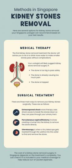 Kidney Stones Removal Methods in Singapore

Kidney stones are a common health issue. However, if left untreated, they can progress and cause further health complications like kidney damage and infection. If you think you have kidney stones, it's best to consult a urologist as soon as possible for proper diagnosis and, if needed, kidney stone removal.

This infographic provides information on different kidney stone removal options in Singapore. You can learn more details by following this link.