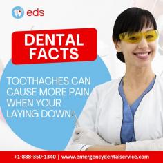 Dental Facts | Emergency Dental Service

When you're lying down, toothaches can get even worse and are frequently very painful.  When you have a dental emergency, call Emergency Dental Service right away to relieve discomfort and address the underlying issue. Schedule an appointment at 1-888-350-1340.