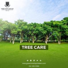 Tree Experts Near Me

A landscape garden will only look beautiful if it undergoes periodic care and maintenance. Green Forest Sprinklers comes with professional experts who are well-trained to provide an exceptional tree care service for residential and commercial lawns. 

Know more: https://greenforestsprinklers.com/tree-care/

