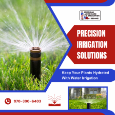 Efficient Irrigation System Implementation

Our irrigation services ensure optimal water distribution for lush landscapes. Our skilled team enhances plant growth, preserving resources for sustainable and vibrant environments. For more information, call us at 970-390-6403.