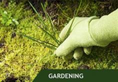 Makeover your lawn with Premierlawns.com.au, Perth's go-to source for Lawn Coring. Our knowledgeable staff improves soil aeration and encourages robust grass growth. You may rely on us to revitalize your lawn, regardless of whether it's your residential or business property. Premierlawns.com.au can help you upgrade your outdoor area.

https://premierlawns.com.au/