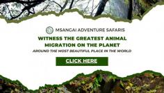 The journey is not just about the destination; it's about the thrill of the unknown and the awe-inspiring sights that await at every turn. Msangai Adventure's commitment to sustainable tourism ensures that your exploration leaves minimal impact while providing maximum enjoyment. From panoramic viewpoints to hidden gems off the beaten path, our itinerary is thoughtfully crafted to offer a truly immersive experience. Beyond the Baobabs is more than a safari; it's a story waiting to unfold. Let Msangai Adventure guide you through the enchanting landscapes of Tarangire National Park, where each day brings a new chapter in the tale of the wild. Join us and discover the magic that lies beyond the shadows of the Baobab trees, where nature's grandeur is on full display, and adventure knows no bounds.https://msangaiadventure.com/tarangire_national_park/
