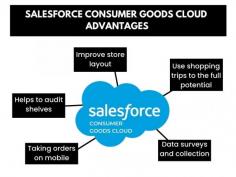 There are various benefits of using the Salesforce consumer goods cloud. The salesforce consumer goods cloud helps retail originations to focus on every segment.