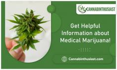 Discover Honest Marijuana Reviews Here!

Skeptical about buying newly launched or old-fashioned medical cannabis products? Check out our medical marijuana reviews outlined by our seasoned and well-versed experts to verify whether to buy or not. Take a look at Cannabinthusiast for more informed decisions!
