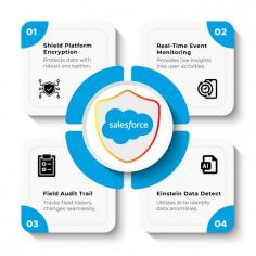 Features of Salesforce Shield:
1. Shield Platform Encryption 
2. Real-Time Event Monitoring 
3. Field Audit Trail 
4. Einstein Data Detect 
