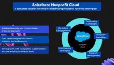 Salesforce Nonprofit Cloud empowers users to ensure all operations are transparently managed across a single system. It gives organizations better visibility and improved operations. So, they can reach their goals more effectively and efficiently. 