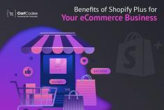 Shopify Plus emerges as an ideal choice for enterprises aiming for rapid expansion, and as the top-notch Shopify Plus development company, we deliver unparalleled Shopify Plus development services. Explore the advantages of Shopify Plus, and what it brings to elevate your eCommerce business:
- Growing on a global scale
- Extensive control from a central location
- Enhancement of coding access
- High-Level user programs
- Integration across channels