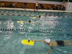 For our non-experienced or experienced adults, we’re introducing our Masters Swimming program. Designed for adults who want to refine their technique, increase their endurance and connect with fellow swimmers in a supportive environment, our Masters program offers structured workouts led by certified coaches. Whether you’re training for fitness, competing in Masters competitions, or simply seeking camaraderie with like-minded individuals, our program is the perfect opportunity to take your swimming to the next level.