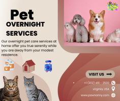 Trust Pawnanny Pet for reliable overnight care tailored to your pet's needs. Our experienced team ensures a safe and comfortable environment, providing companionship and attention throughout the night. Whether it's for a weekend getaway or an extended stay, your furry friend will receive personalized care and love. Say goodbye to worries and hello to peace of mind knowing your pet is in good hands. Book your pet's overnight stay with Pawnanny Pet today and let them enjoy a home away from home experience. For more visit us on https://www.pawnanny.com/pet-overnight-services
