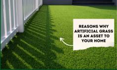Reasons Why Artificial Grass Is an Asset to Your Home

https://www.artificialgrassgb.co.uk/blog/reasons-why-artificial-grass-is-an-asset-to-your-home.html
