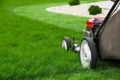 Transform your lawn with Premierlawns.com.au professional lawn coring services in Perth. Say goodbye to patchy grass and hello to a lush, healthy yard.

https://premierlawns.com.au/