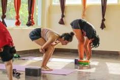 Whether you want to begin your yoga journey to become an international certified Yoga Teacher, enroll with Ashtanga Yoga Teacher Training in Rishikesh today.  Join us today and experience the abundant nature and beauty with friendly people around the world and rejuvenate yourself within the natural beauty in Rishikesh. For more information contact us today at: 91-6395949067
https://rishikeshvinyasayogaschool.com/ashtanga-yoga-teacher-training-rishikesh-india.php