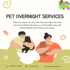 Leave your pet in good hands with our reliable overnight services. Our experienced team provides round-the-clock care and attention, ensuring your pet feels loved and comfortable during their stay. Experience peace of mind knowing your furry friend is in a safe and caring environment. For more visit us on https://www.pawnanny.com/pet-overnight-services
