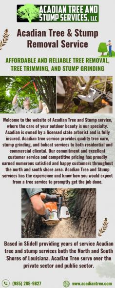 When a tree poses an immediate threat to your property or safety, our Acadian Tree and Stump Removal Service is available 24/7. Our rapid response team will assess the situation, devise a strategy, and swiftly remove the tree to prevent further damage. Your safety is our top priority. For more information about Tree Removal Talisheek, contact us at (985) 285-9827.
	
Visit Now: https://acadiantree.com/tree-removal-talisheek/