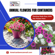 Blooms for Your Garden with Container Flowers

Our vibrant container flowers bring a burst of color to your garden, creating a stunning display of nature's beauty. We offer a variety of blooms and carefully selected to elevate your outdoor space. For more information, call us at 970-390-6403.