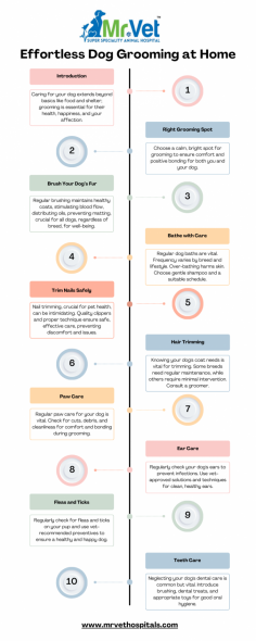 Dogs, often referred to as man’s best friend, bring immeasurable joy and companionship into our lives. As responsible pet owners, ensuring the holistic well-being of our furry friends becomes a top priority. A crucial aspect of this responsibility is grooming, not just as a means of maintaining their physical appearance but as a vital component of their overall health and happiness.

<a href="https://mrvethospitals.com/" rel="dofollow">Visit Mr Vet Hospitals</a>