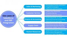 Use cases of Salesforce ERP Integration