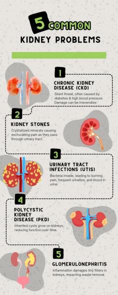 5 Common Kidney Problems - Infographic


This infographic highlights the top five kidney diseases. The kidneys are vital organs that filter toxins from the blood, making them a crucial part of our body. Impaired kidneys can be life-threatening. Therefore, it's essential to watch out for common symptoms such as blood in urine, swelling, fatigue, and changes in urination frequency or amount.

In Singapore, kidney stones are a prevalent problem that often goes unnoticed until they grow big and cause pain. In severe cases, they can lead to kidney failure and infections. If you are diagnosed with kidney stones, it's better to seek the advice of a specialist for proper treatment or kidney stone removal in Singapore.
