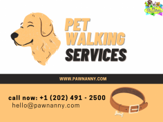 Discover unparalleled joy for your furry companion with Pawnanny, Professional Pet Walking Services. Our expert team is dedicated to unleashing happiness through tailored walks that cater to your pet's unique needs. With a perfect blend of exercise, care, and companionship, we ensure every stroll becomes a tail-wagging adventure. Trust us to provide top-notch professional pet walking services, allowing your beloved pet to thrive both physically and emotionally. Experience the difference with Pawnanny – where every step is a celebration of happiness and well-being for your cherished furry friend. for more visit us on https://www.pawnanny.com/pet-walks-services
