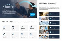 We have been implementing successful Salesforce projects since 2005. Our highly skilled team of industry experts have deep knowledge in several verticals and all key aspects of the Salesforce Customer 360 platform. When you are looking to deliver transformational technology solutions to complex business challenges, Westbrook is the team to talk to first.


