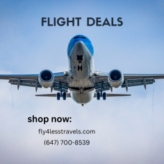 Flight Deals