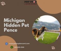 Michigan's Hidden Pet Pence: A Must-Visit for Animal Lovers

Are you searching for hidden pet pence in Michigan? Look no further! Explore our extensive collection options in michigan hidden pet fence. From unique designs to top-notch quality, we have everything you need to create a safe and stylish space for your furry friends. Discover the hidden pet pence treasures Michigan has to offer and give your pets the ultimate sanctuary they deserve.

For more info, visit: https://petstopfencemi.com/
