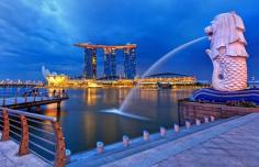 singapore holiday package :
Check out some of our best Singapore tour packages, aimed at giving you a memorable vacation. Be it honeymoon, adventure or a family holiday, you'll find it all here. With attractive prices, these holidays won't be burning a hole in your pocket. 

