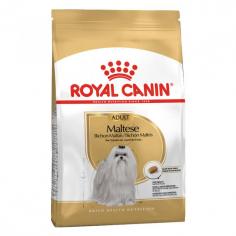 Royal Canin Maltese Adult Dry Dog Food: This complete feed supports skin and coat health with essential omega-3 fatty acids, keeping your Maltese's coat sleek and beautiful.
