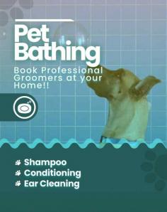 Book the best dog grooming services and Dog groomers near me, we style your pet. We have professional and experienced groomers to provide the best services. We provide grooming services for cats and dogs at our parlor in Hyderabad.
Visit Site : https://www.mrnmrspet.com/dog-grooming-in-hyderabad

