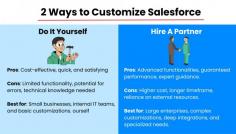 Methods of Customizing Salesforce