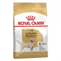 Royal Canin Labrador Retriever Adult Dry Dog Food fulfills all the nutritional needs of adult Labrador aged 15 months and older. Order online from VetSupply.

