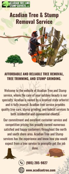 Talisheek Tree Removal | Acadian Tree and Stump Removal Service

When a tree becomes old, sick, or too hard to maintain, it's time for no-fuss removal. A healthy green tree can provide shade and enhance your home's exterior, while a dying one can become an eyesore and hazard. Call a professional like Tree Removal Talisheek to remove rotten trees. Acadian Tree and Stump Services, LLC provides excellent tree removal and stump grinding services. To learn more about our Talisheek Tree Removal, don't hesitate to contact us at (985) 285-9827.