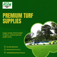 Discover expert tips for selecting the perfect turf supplies for your pool landscape project. Consult with landscaping contractors for personalized advice.