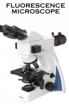 A fluorescence microscope is an advanced optical instrument used in scientific research, medical diagnostics, and various other fields to observe and analyze specimens with fluorescence properties.  Infinite optical system.   