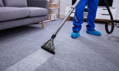 Carpet Maintenance Dos and Don'ts: Avoiding Common Cleaning Mistakes

It can be difficult to clean carpets at home. You may be attempting to address a wide range of stains and problems in addition to a wide range of carpet materials and cleaning solutions. Interested in learning more? Click here to Read More Here.