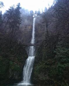 Tour Guide Multnomah Falls

Multnomah Falls is one of the most iconic places to explore in USA. Terran Travels offers Tour guide Multnomah Falls who will assist you to explore this iconic place and your tour will remain as a memory for entire life.

More info:- https://www.terrantravels.com/