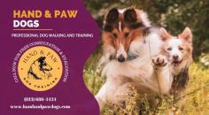 Hand & Paw Dogs is the right place for you if you are looking for the Best Dog obedience training in Bayonet Point. Visit them for more information.https://maps.app.goo.gl/n1tNtKDkMCh6Re3s9