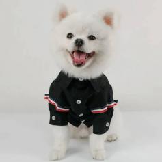 Dress your furry friend in British style with our new pet shirt. This knitted dog clothes feature a French fighting casual clothing design, perfect for adding a touch of designer fashion to your dog's wardrobe. 