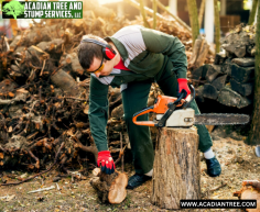 Tree Removal Slidell | Acadian Tree and Stump Removal Service

If you ever find yourself in a situation where a tree is putting your property or safety at risk, our Acadian Tree and Stump Removal Service team is available to help you 24/7. Our emergency response team will quickly assess the situation, come up with a plan, and take immediate action to remove the tree and prevent any further damage. We prioritize your safety above everything else. For more information about Tree Removal Slidell, contact us at (985) 285-9827.