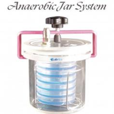 Anaerobic Jar System NAJS-100 is an affordable, robust jar system designed for rapid generation an oxygen-free environment necessary to cultivate anaerobic, microaerophiles, and capnophiles microorganisms within a sealed jar. With excellent airtight performance, it aids in easy and exact, repeatable creation of desired environments for clinical and microbiology use. It is the most commonly used for anaerobiosis and is perfect for a laboratory having less sample load.