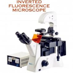 Inverted Fluorescence Microscope NIFM-100 is an advanced microscope furnished with Phase contrast and Infinity plan achromatic optical system that allows microscopic examination of the cell culture samples. It is equipped with high resolution camera and compatible software that aids in capturing high resolution images.