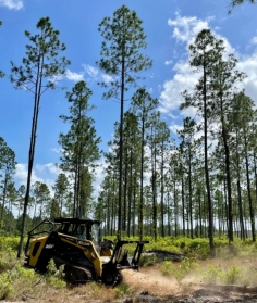As the premier provider of forestry mulching services in Mississippi, we ensure efficient land clearing for your projects. Our expert team utilizes top-tier equipment for swift and eco-friendly solutions. Experience the transformation of your property with our specialized forestry mulching techniques. Connect with us today for sustainable land management solutions.