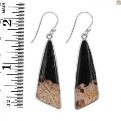 Genuine Petrified Wood Earrings: The Transformation of Wood into Stone

The term "petrified wood," commonly referred to as "a petrified tree," is derived from an old Greek word that meant "rock" or "stone." Petrified wood literally means "wood turned into stone." A form of fossilized wood having preserved traces of terrestrial plants is called petrified wood. When minerals gradually replace the original wood tissue, an organic substance known as the petrified wood crystal is produced. Adam's ale pours through rock fissures during the mineral replacement process of petrified wood, depositing crystals of various minerals on its surface. As a result, tree rings, knots, and other characteristics survive when the organic stuff decomposes.