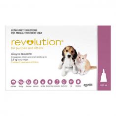 Revolution is an innovative monthly parasitic treatment for cats. This topical product protects felines from various external and internal parasites. Revolution kills adult fleas, flea eggs and flea larvae in the environment. The monthly preventive treats, controls and prevents flea infestation apart from treating ear mites. It prevents heartworm disease caused by Dirofilaria immitis. Revolution treats intestinal worms including roundworms and hookworms.
