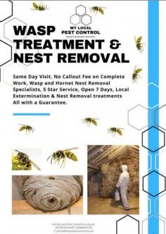 My Local Pest Control is the right place for you if you are looking for the Best service for Cockroach Control in Stoughton. Visit them for more information. https://maps.app.goo.gl/pbLv8SBxcPvmrR2cA