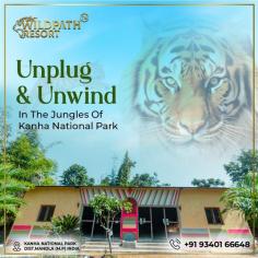 The diversity of wildlife in the jungles of Kanha National Park. Unplug from the hustle and bustle of city life and immerse yourself in the tranquil wilderness. Explore the untamed beauty of nature as you encounter a variety of flora and fauna unique to this enchanting sanctuary. From majestic tigers to playful monkeys, every encounter promises to be a thrilling adventure. Wander along winding trails and breathe in the fresh, crisp air as you witness the wonders of the jungle unfold before your eyes. Whether you're a nature enthusiast or simply seeking solace in the great outdoors, Kanha National Park offers a sanctuary for the soul. So pack your bags, lace up your boots, and embark on a journey of discovery in the heart of nature's bounty.






